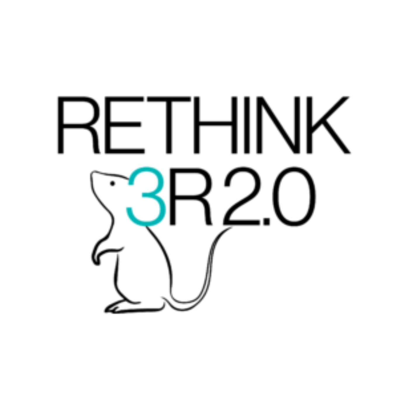 ReThink3R 2.0 Summer School